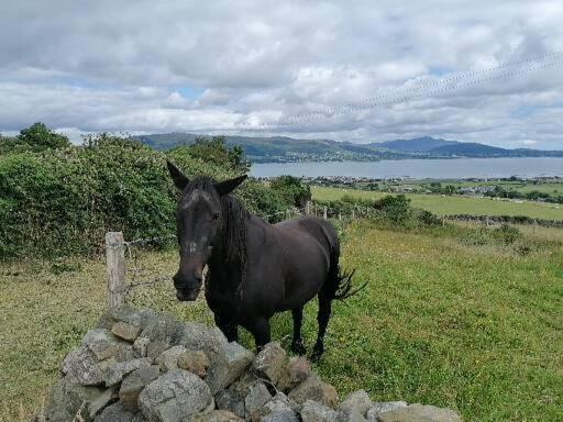 Appartement Carlingford Mountain And Sea Views Extérieur photo